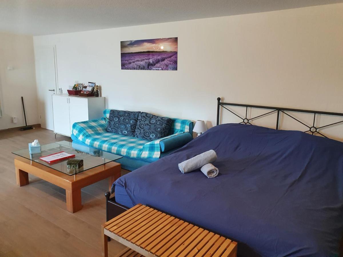 Maison D'Hotes Bleu Cudrefin Екстериор снимка